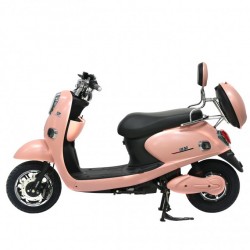 10 Inch Tire Electric Scooter Lead-Acid Electric Mobility Motorcycle