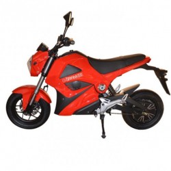 Hot Sale Electric Motorcycle with 1500W Brushless Hub Motor