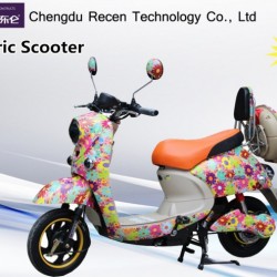 Small Type Street Legal Electric Motorcycle 2016