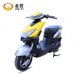 800W Electric Moto Price High Power Adults Electric Motorcycle for Adults