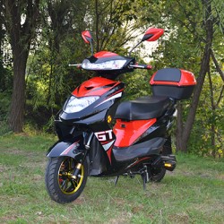 Grankee Electric Motorcycle for Ameirca Market with Pedal 800W-1500W for Men