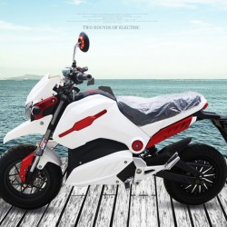 Brushless Hub Motor 2 Wheel Electric Motorcycle