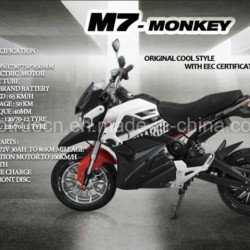 2017 New Style 2000W Electric Motorcycle with Sealed Lead-Acid Battery
