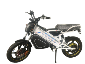 48V500W New Design Electric Motorcycle, Powerful Electric Dirt Bike for Adult (EM-036) Image1