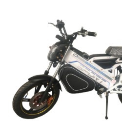 48V500W New Design Electric Motorcycle, Powerful Electric Dirt Bike for Adult (EM-036)