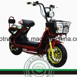 Two Wheel Electric Motorcycle with 45km/H Speed