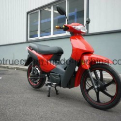 High Speed Brazil Electric Motorcycle with 1000W