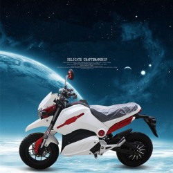 60/72V 2000W Cool Green 2 Wheel Electric Motorcycle