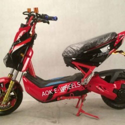 1000W60V Dirt Bike Electric Racing Motorcycle (EM-009)