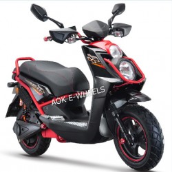 Newest 1200W Adult Electric Motorcycle with F/R Disk Brake (EM-001)