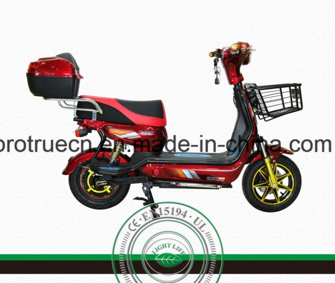 500W Brushless Rear Motor Electric Motorcycle Image1