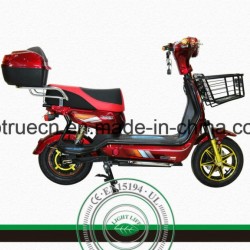 500W Brushless Rear Motor Electric Motorcycle