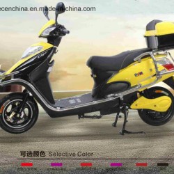 800 Watt Electric Scooter/Electric Motorcycle for Sales