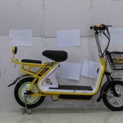 350W Brushless Rear Motor Electric Motorcycle