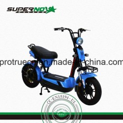 Lead-Acid Electric Motorcycle with Hidden Battery