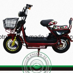 New Design Electric Motorcycle with Ce