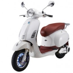 1000W60V Cheap Electric Motorcycle, Electric Dirt Bike with Silicon Battery (EM-022)