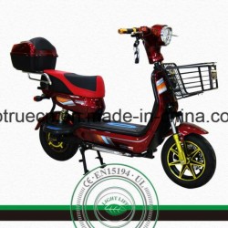 Front LED Light Steel Frame Electric Motorcycle