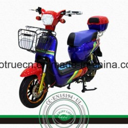 Brushless Lead-Acid Electric Motorcycle