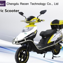 1200W Hub Motor 2 Wheel Standing Electric Scooter-Electric Motorcycle for Sale