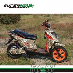 1000W 72V Electric Motorcycle for Adults