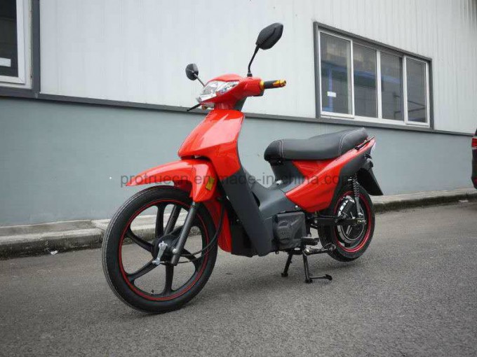1000W High Speed Electric Motorcycle Image1