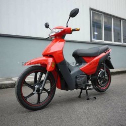 1000W High Speed Electric Motorcycle