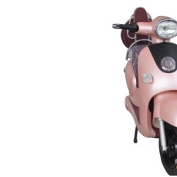 48V800W Ce Approved Electric Motorcycle with Pedal, Electric Powered Moped for Adult (EM-032)