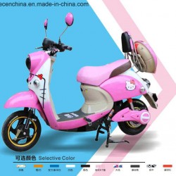 500W-1000W Mini Electric Scooter Electric Motorcycles