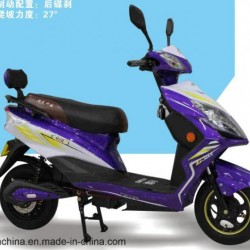 Hot Selling Electric Scooter/Electric Motorcycle