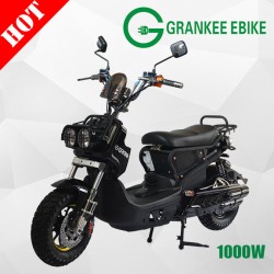 1000W Electric Scooter Running Style Motorbike Global City of Fear