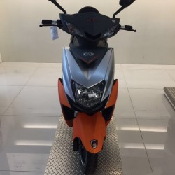 China 800W Power Electric Moped