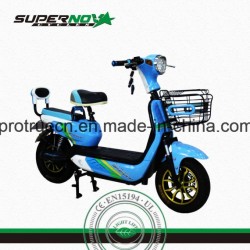 Green Power Electric Motorcycle with Ce