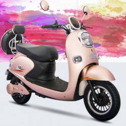 500W Electric Motorcycle with Flying Saucer Rear Box
