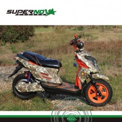 Brushless Rear Motor Electric Motorcycle Sps-025