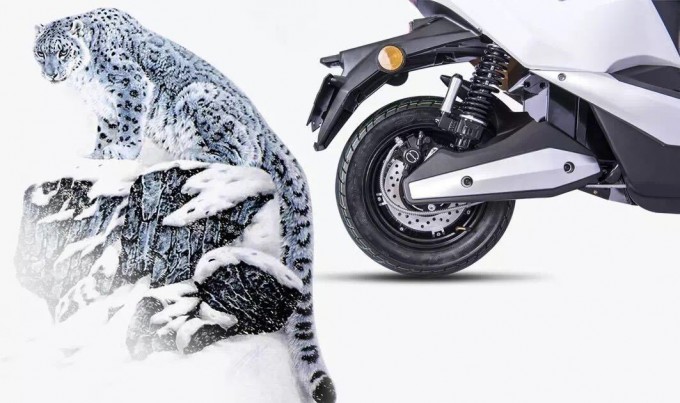 800W Bosch Motor Electric Motorcycle, Snow Electric Motorcycle Image1
