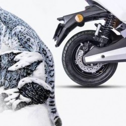 800W Bosch Motor Electric Motorcycle, Snow Electric Motorcycle