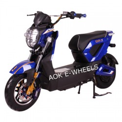 1000W Brushless Motor High Quality Electric Dirt Bike (EM-012)