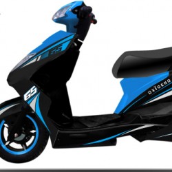 48V800W Fashionable Design Design Electric Pedal Motorcycle, Powerful Electric Dirt Bike for Adult (