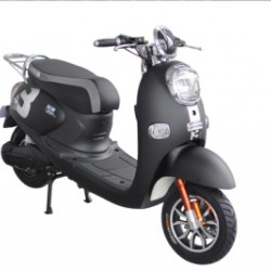 60V1000W Electric Motorbike with Pedal for Adult (EM-029)