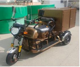 China Factory Luxury 3 Wheel Cargo Motorcycle with Chair Image1