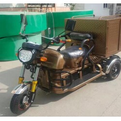 China Factory Luxury 3 Wheel Cargo Motorcycle with Chair