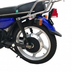 2000W-3000W Electric
