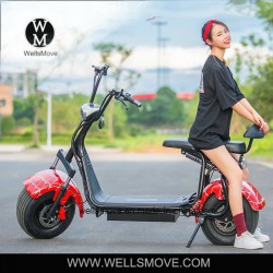 Big Wheel Hub Motor Powerful 1000W Motorcycle Scooter
