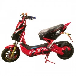 1000W Brushless Motorcycle with Disk Brake (EM-009)