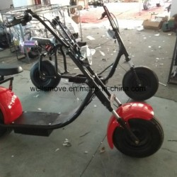 City Country Side Personal Transportation Travel Tourism Rentle Best Choice Scooter Scrooser Motorcy