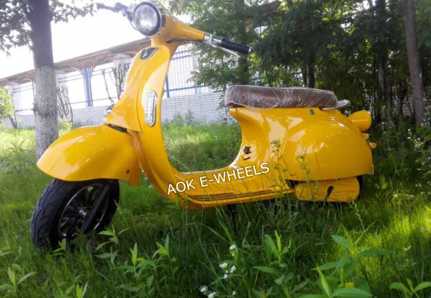 1000W60V New Design Electric Motorcycle Electric Scooter (EM-006) Image1