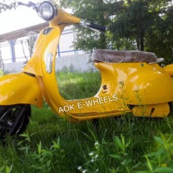 1000W60V New Design Electric Motorcycle Electric Scooter (EM-006)