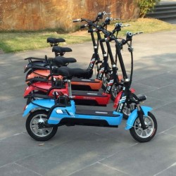Folding Electric City Bike