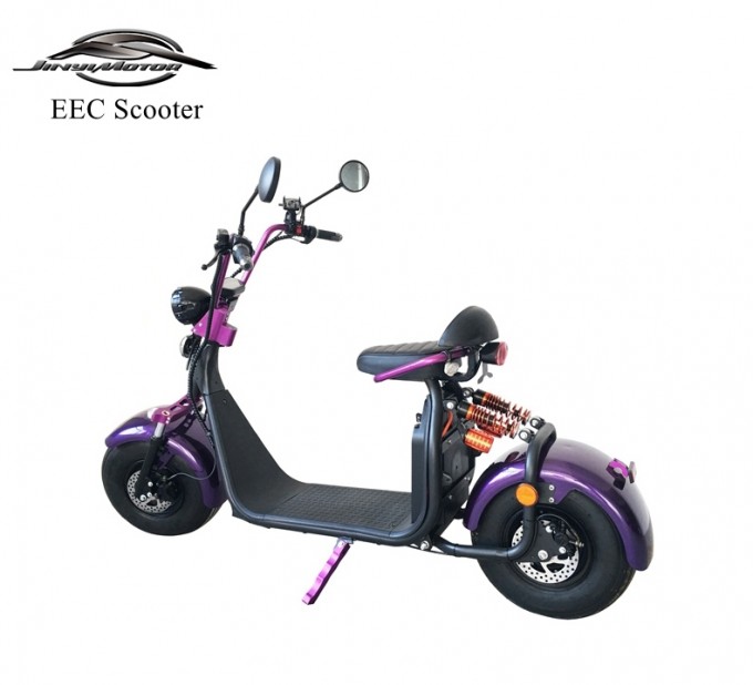 Factory Cheaper 1500W 20ah Lithium Electric Scooter with EEC Image1